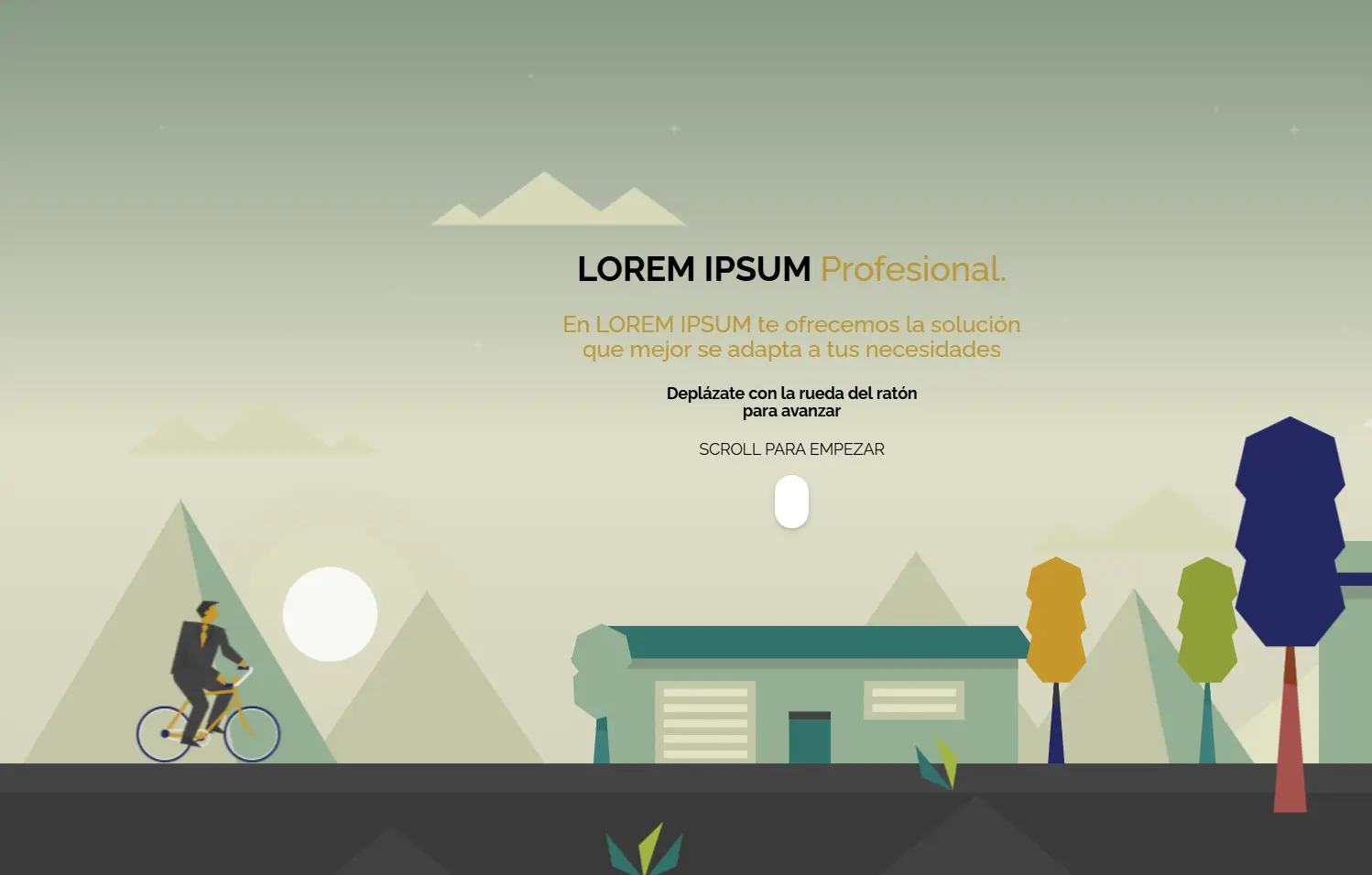 Perfil Profesional